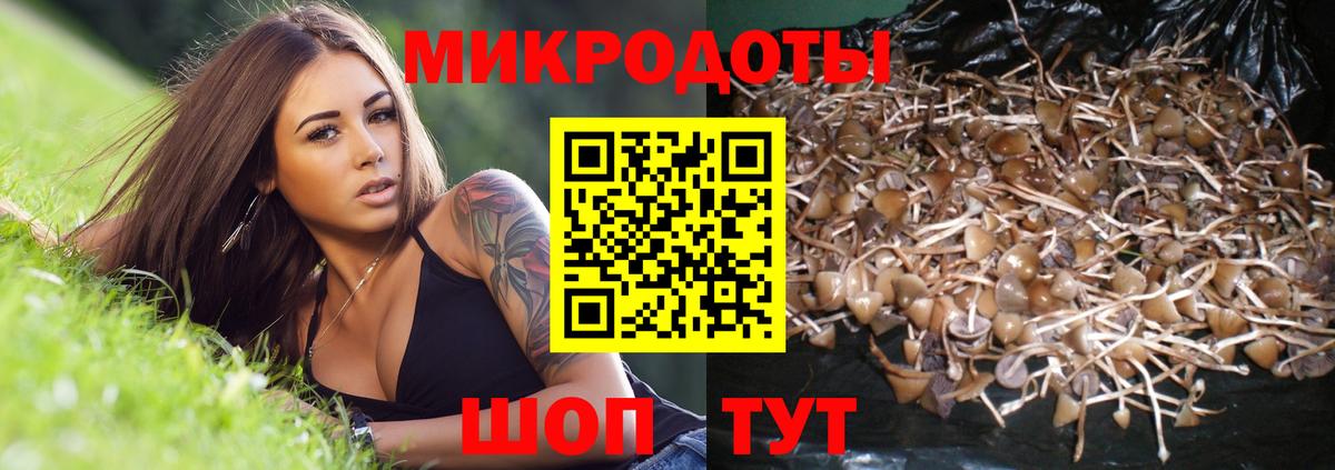 Галлюциногенные грибы мухоморы Кимовск