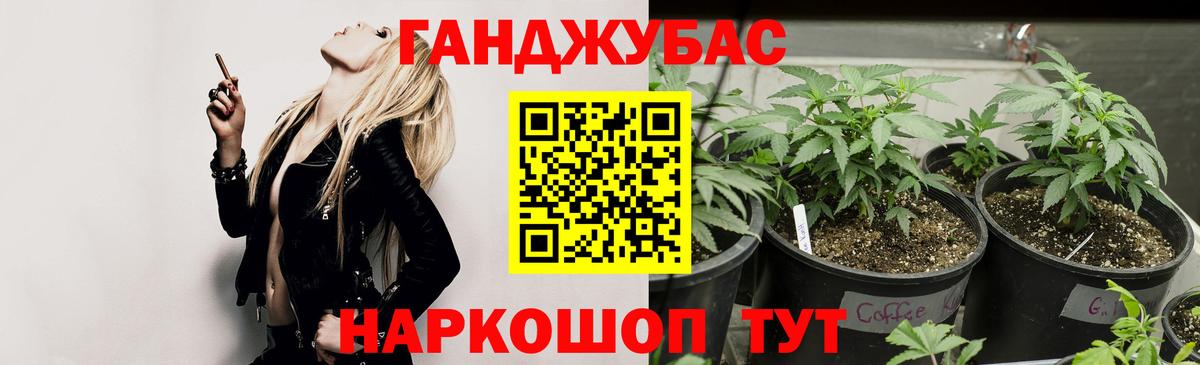 Бошки Шишки марихуана  МАРИХУАНА конопля  Вход с VPN  Конопля Ganja  Кимовск  МАРИХУАНА марихуана 